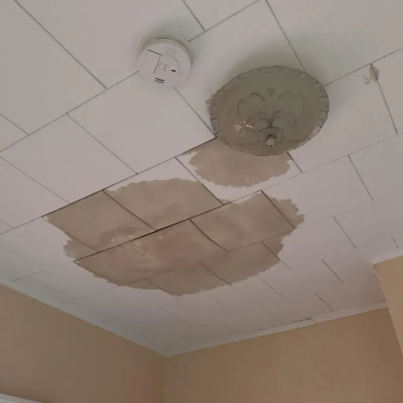 Ceiling Water Damage Repair in Sand Hill, PA
