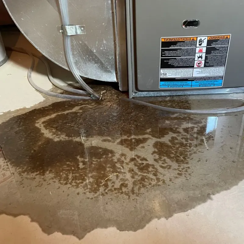 Pipe Burst and Leak Restoration in Sand Hill, PA